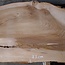 Dutch elm, approx. 2300 x 610 x 50 mm, 13278