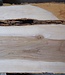 Dutch elm, approx. 2300 x 610 x 50 mm, 13278