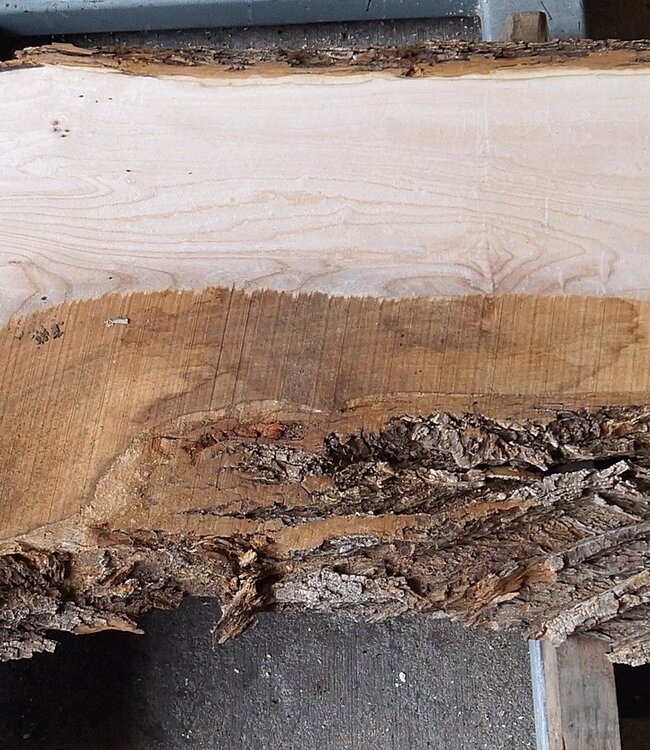 Dutch elm, approx. 2300 x 610 x 50 mm, 13278