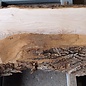 Dutch elm, approx. 2300 x 610 x 50 mm, 13278