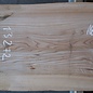 Dutch elm, approx. 1800 x 600 x 52 mm, 13272