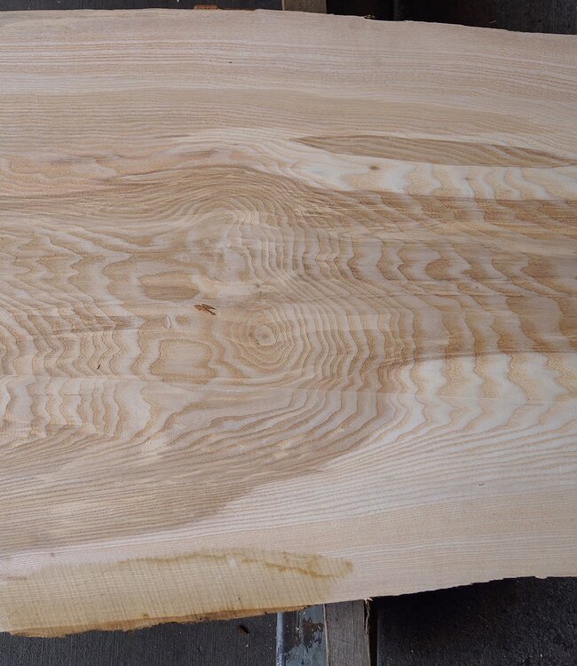 Olive ash, table top, approx. 2150 x 600 x 58 mm, 13265