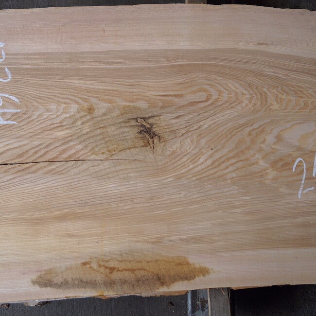 Olive ash, table top, approx. 2150 x 690 x 58 mm, 13264