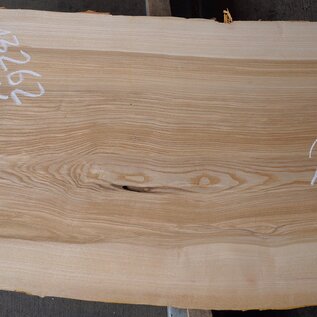 Olive ash, table top, approx. 2150 x 620 x 58 mm, 13262