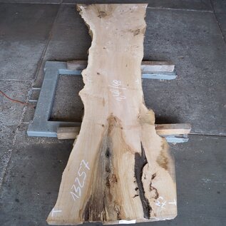 Ash burl, approx. 2400 x 730/480/760 x 50 mm, 13257