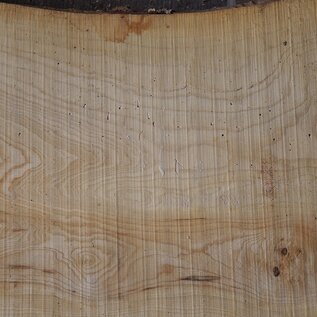 Ash burl, approx. 2400 x 730/480/760 x 50 mm, 13257