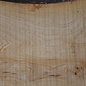 Ash burl, approx. 2400 x 730/480/760 x 50 mm, 13257