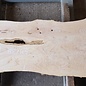 Ash burl, approx. 1880 x 520/430/660 x 52 mm, 13256