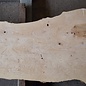 Ash burl, approx. 1880 x 520/430/660 x 52 mm, 13256