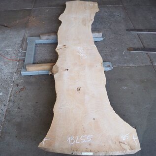 Ash burl, approx. 2950 x 850/520/590 x 65 mm, 13255