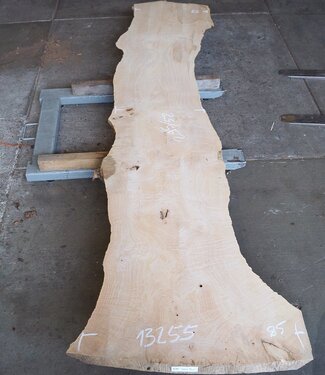 Ash burl, approx. 2950 x 850/520/590 x 65 mm, 13255