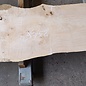 Ash burl, approx. 2950 x 850/520/590 x 65 mm, 13255