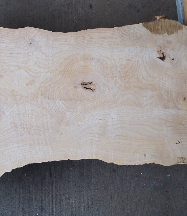 Ash burl, approx. 2950 x 850/520/590 x 65 mm, 13255