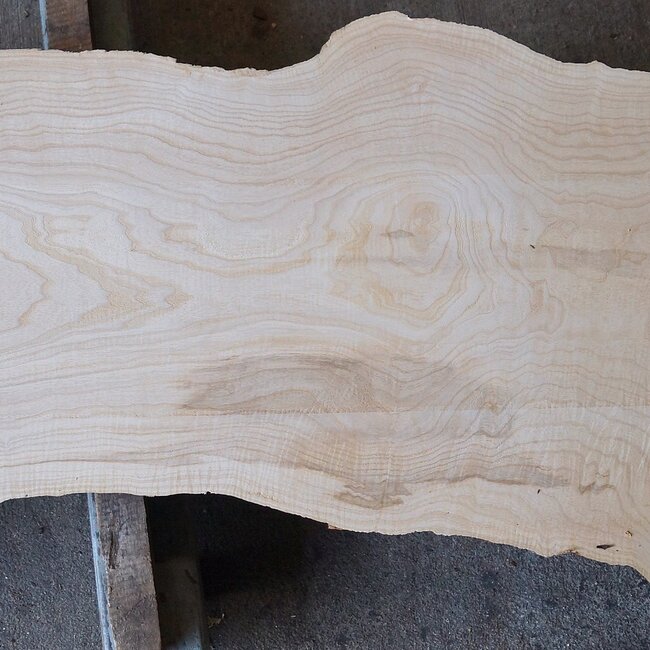 Ash burl, approx. 2950 x 850/520/590 x 65 mm, 13255