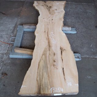 Ash burl, approx. 2350 x 780/540/720 x 40-55 mm, 13254