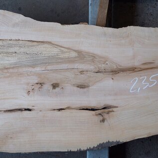 Ash burl, approx. 2350 x 780/540/720 x 40-55 mm, 13254