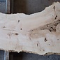 Ash burl, approx. 2350 x 780/540/720 x 40-55 mm, 13254