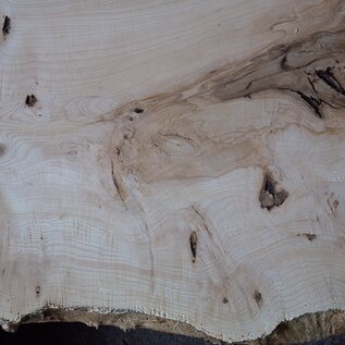 Ash burl, approx. 2350 x 780/540/720 x 40-55 mm, 13254