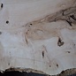 Ash burl, approx. 2350 x 780/540/720 x 40-55 mm, 13254