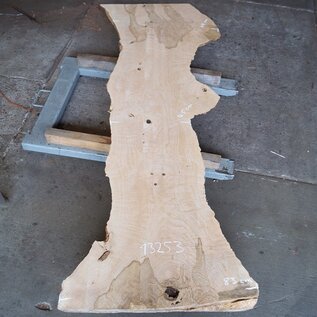 Ash burl, approx. 2280 x 830/450/770 x 70 mm, 13253