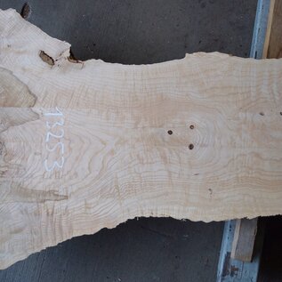 Ash burl, approx. 2280 x 830/450/770 x 70 mm, 13253