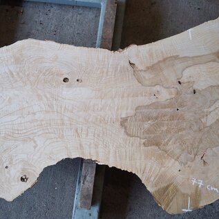 Ash burl, approx. 2280 x 830/450/770 x 70 mm, 13253