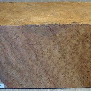 Amboina burl, approx.  440/540 x 245 x 160mm, 10kg