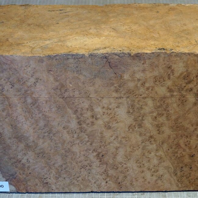 Amboina Maser, ca. 440/540 x 245 x 160mm, 10kg