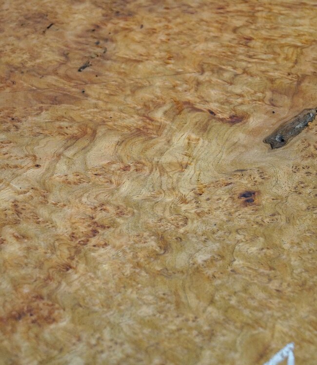Amboina burl, approx. 550 x 245/305 x 140mm, 12,3kg