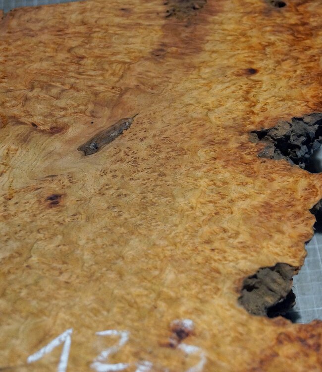 Amboina Maser, ca. 550 x 245/305 x 140mm, 12,3kg