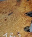 Amboina burl, approx. 550 x 245/305 x 140mm, 12,3kg