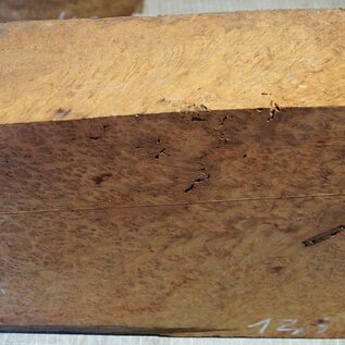 Amboina burl, approx. 550 x 245/305 x 140mm, 12,3kg