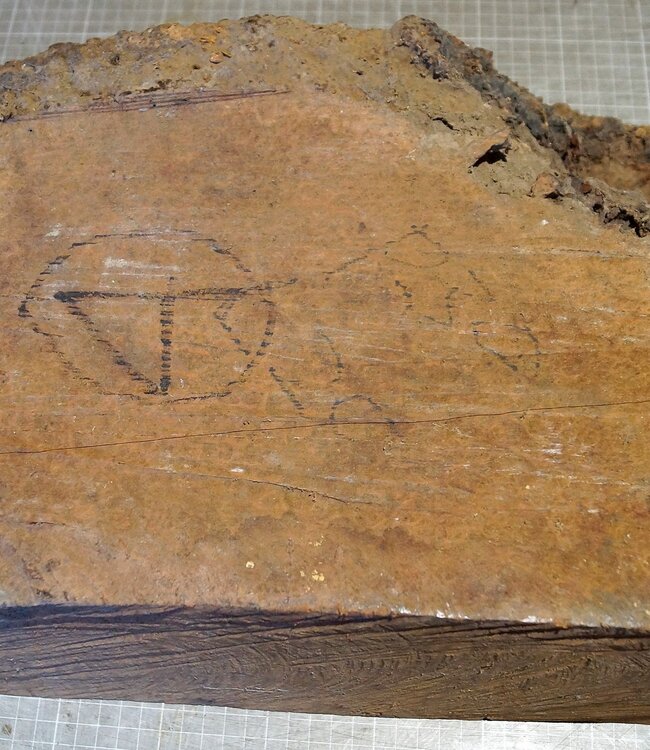 Amboina burl, approx. 550 x 245/305 x 140mm, 12,3kg