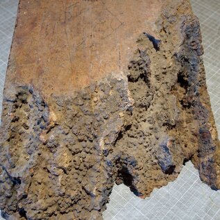 Amboina burl, approx. 550 x 245/305 x 140mm, 12,3kg