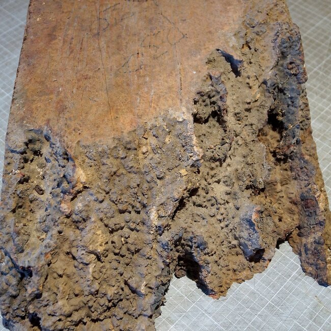 Amboina burl, approx. 550 x 245/305 x 140mm, 12,3kg