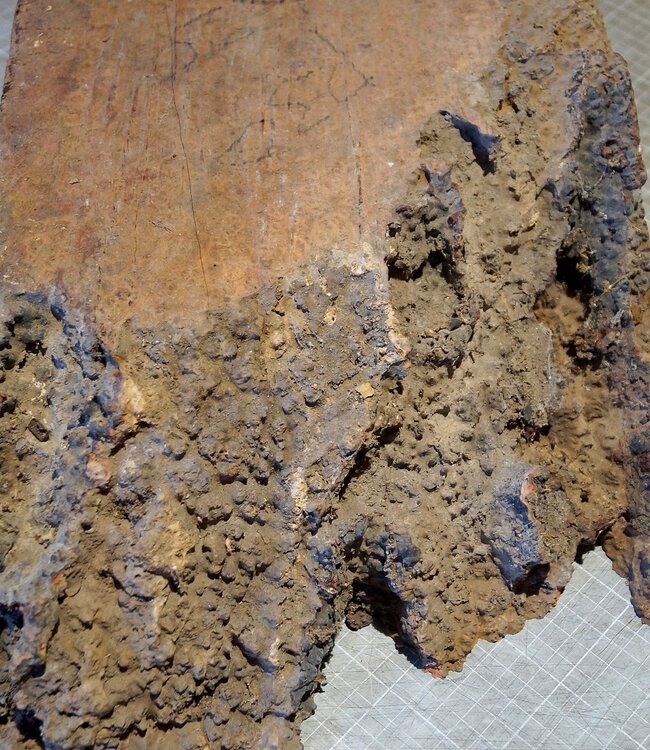 Amboina Maser, ca. 550 x 245/305 x 140mm, 12,3kg