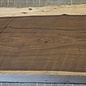 Cocus board, approx. 490 x 100/130 x 25mm, 1,3kg