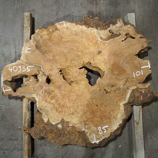 Amboina burl, approx. 1010 x 850 x 55mm, 18,9kg