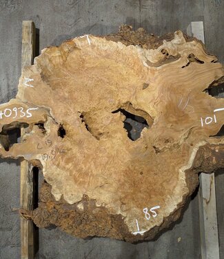 Amboina burl, approx. 1010 x 850 x 55mm, 18,9kg, 40935