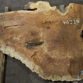 Amboina Maser, ca. 1450 x 880 x 55 mm, 37,2kg, 40937