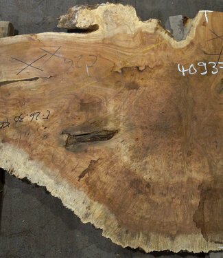 Amboina Maser, ca. 1450 x 880 x 55 mm, 37,2kg, 40937