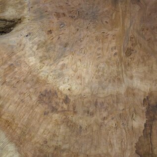 Amboina burl, approx. 1450 x 880 x 55mm, 37,2kg