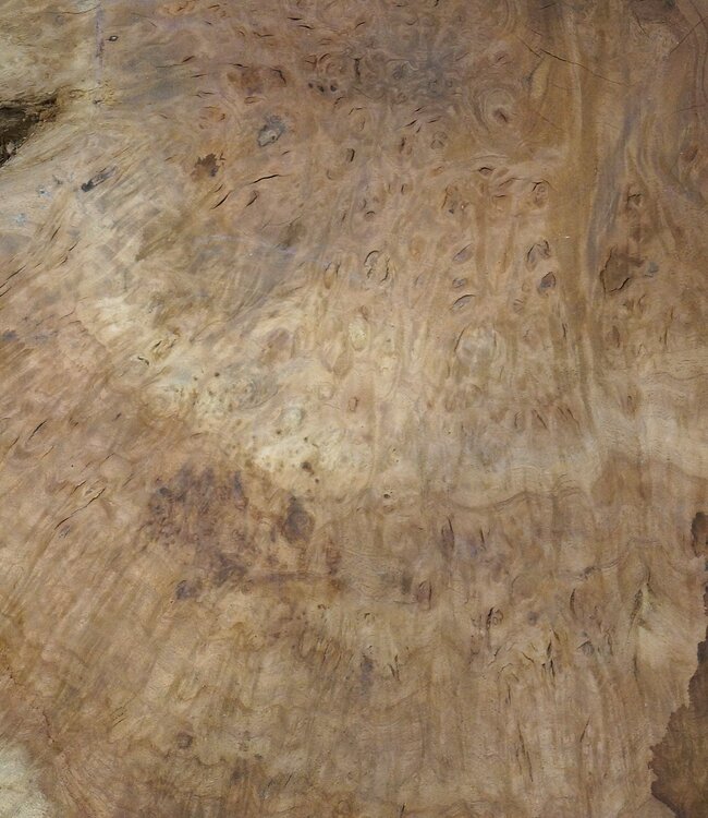 Amboina Maser, ca. 1450 x 880 x 55 mm, 37,2kg