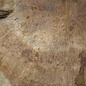 Amboina burl, approx. 1450 x 880 x 55mm, 37,2kg