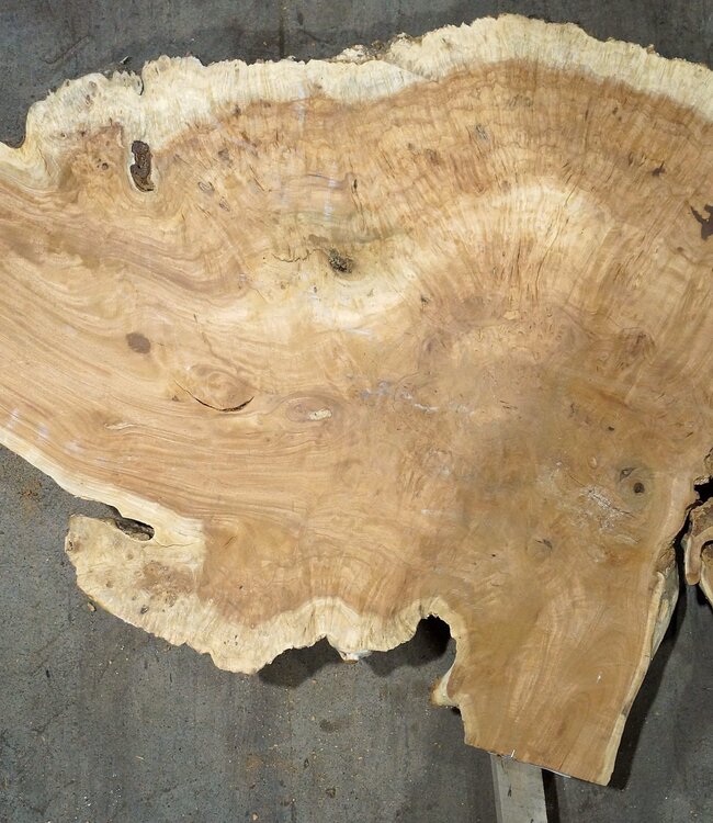 Amboina Maser, ca. 1450 x 880 x 55 mm, 37,2kg