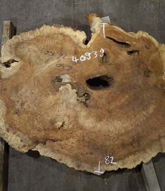 Amboina Maser, ca. 1190 x 820 x 55 mm, 25,6kg, 40939