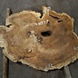 Amboina burl, approx. 1190 x 820 x 55mm, 25,6kg