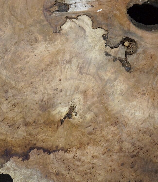 Amboina Maser, ca. 1190 x 820 x 55 mm, 25,6kg