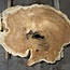 Amboina burl, approx. 1190 x 820 x 55mm, 25,6kg