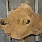 Amboina burl, approx. 930 x 640 x 55mm, 21,7kg